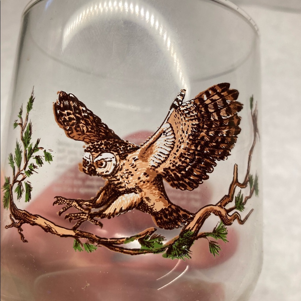 Vintage 1990s Libby Sunoco Wildlife Glasses
